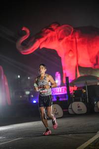 BIB: 
                            <button type="button" onclick="openModal(26531184)" class="btn btn-primary btn-sm float-right btn-popup" data-toggle="modal" data-target=".modal-high-quality">
                        <i class="fas fa-shopping-cart"></i> Add to Cart
                    </button>
                                            <button type="button" onclick="isThisMe(26531184, true)" class="btn btn-success btn-sm float-right btn-popup btn-isme hidden" data-toggle="tooltip" data-placement="bottom" title="นี่คือรูปของคุณใช่ไหม คลิกที่นี่เพื่อเอาเข้าอัลบั้ม">
                        <i class="fas fa-plus"></i> Add to album
                    </button>
                    <button type="button" onclick="isThisMe(26531184, false)" class="btn btn-warning btn-sm float-right btn-popup btn-isnotme hidden">
                        <i class="fas fa-ban"></i> Remove from album
                    </button>